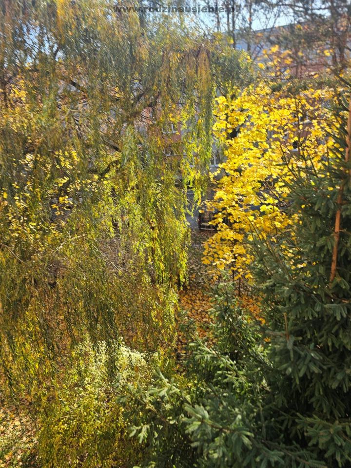 Mieszkanie 2-pokojowe Kraków Krowodrza, ul. Zdrowa. Zdjęcie 5