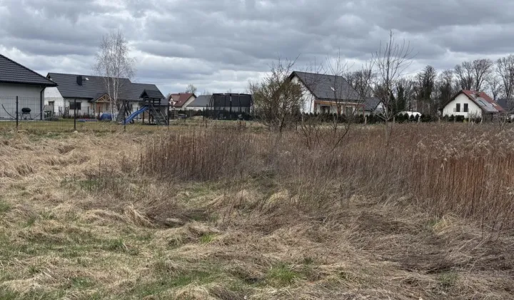 Działka budowlana Gałów, ul. Cedrowa