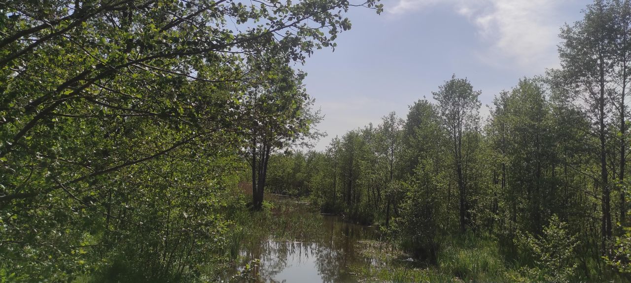 Działka budowlana Pogobie Średnie. Zdjęcie 8