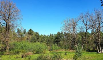 Działka rolno-budowlana Żochowo
