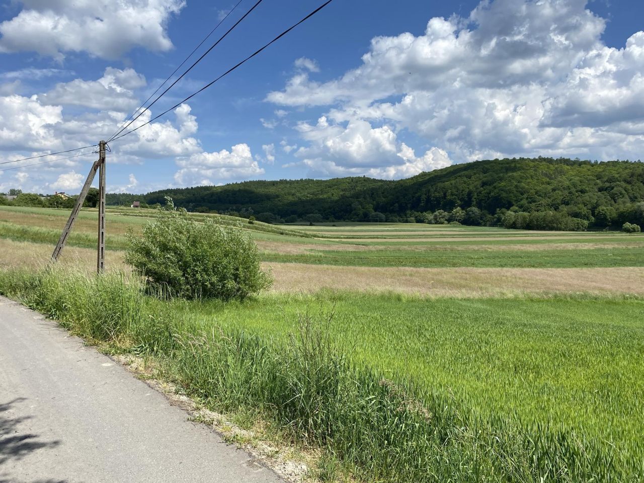 Działka siedliskowa Sielnica. Zdjęcie 3