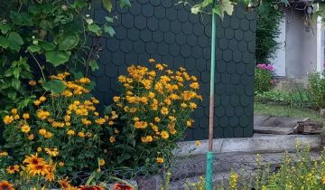 Działka rekreacyjna Słupsk, ul. Józefa Piłsudskiego