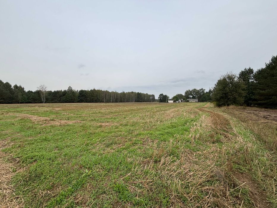 Działka budowlana Teodorów. Zdjęcie 4