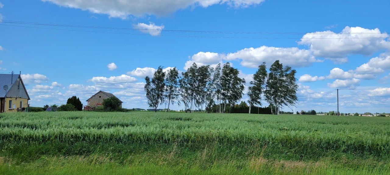 siedlisko Romanowo. Zdjęcie 2