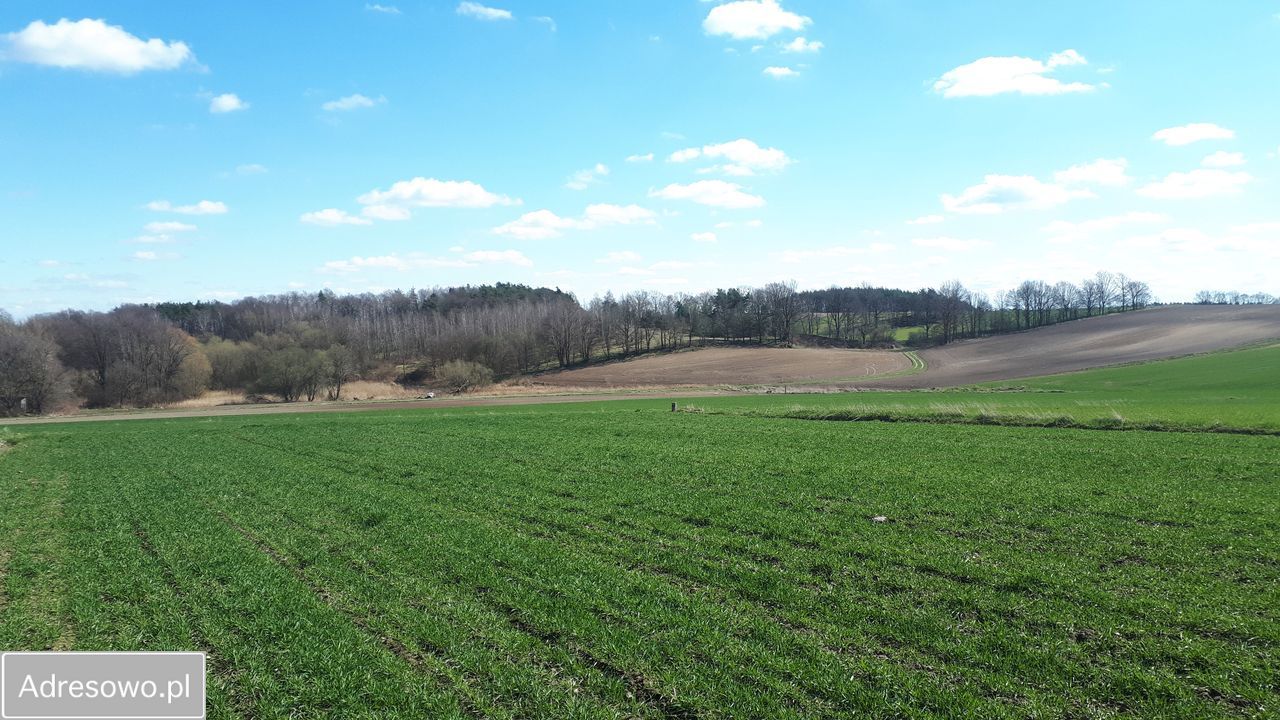 Działka budowlana Osła