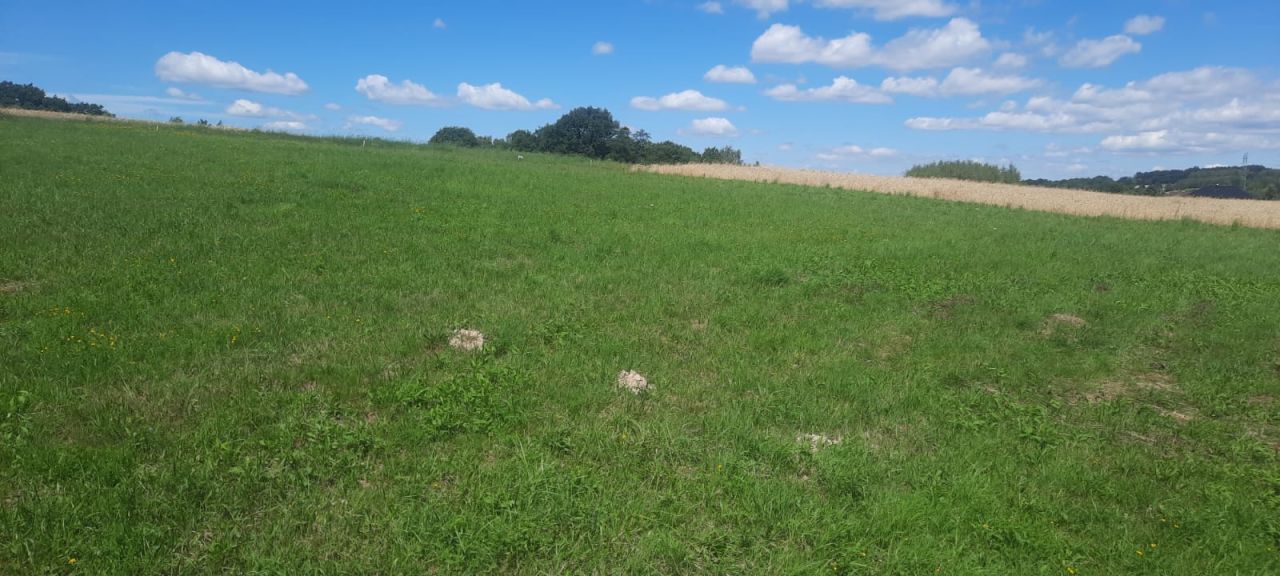 Działka budowlana Grabno Góra. Zdjęcie 4