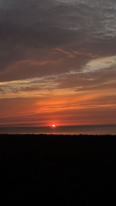 Działka rod Gdańsk Wyspa Sobieszewska. Zdjęcie 5
