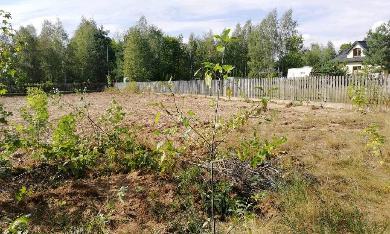 Działka budowlana Załuski. Zdjęcie 7