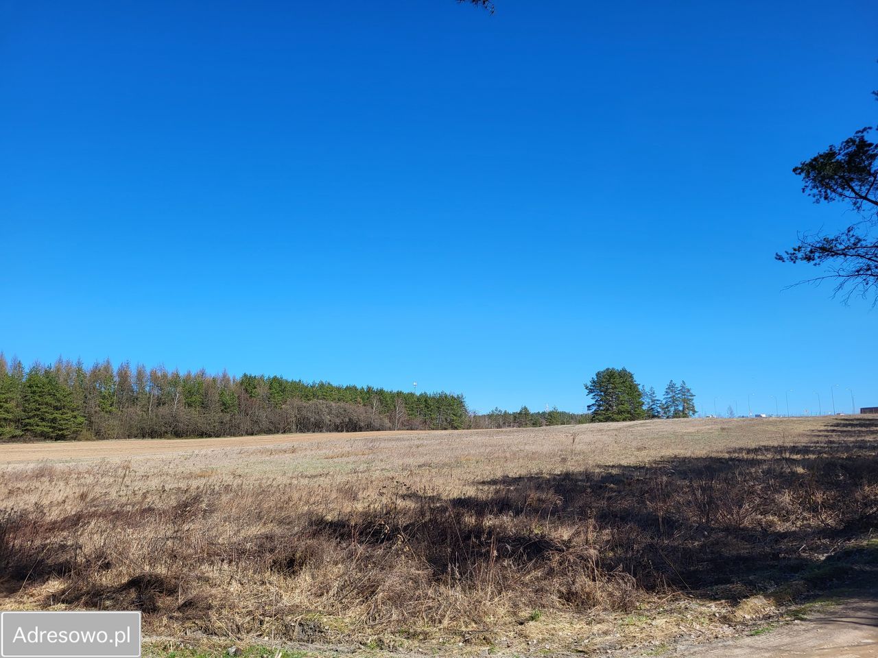 Działka budowlana Wasilków. Zdjęcie 2