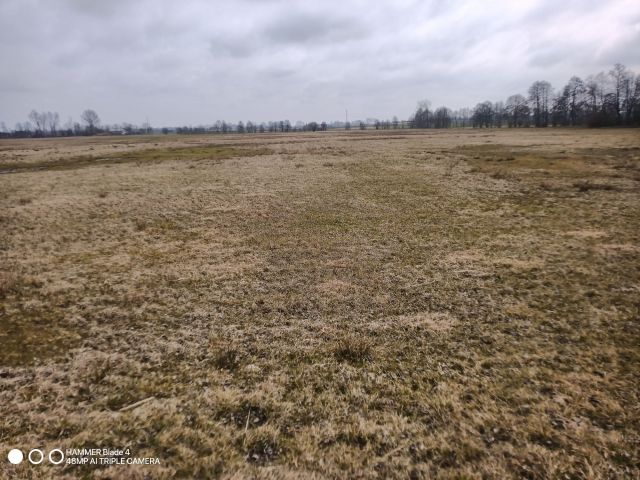 Działka rolna Świątniki. Zdjęcie 1