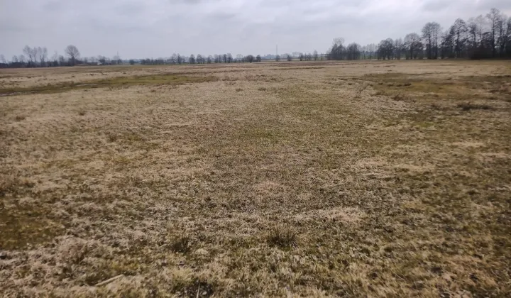 Działka rolna Świątniki