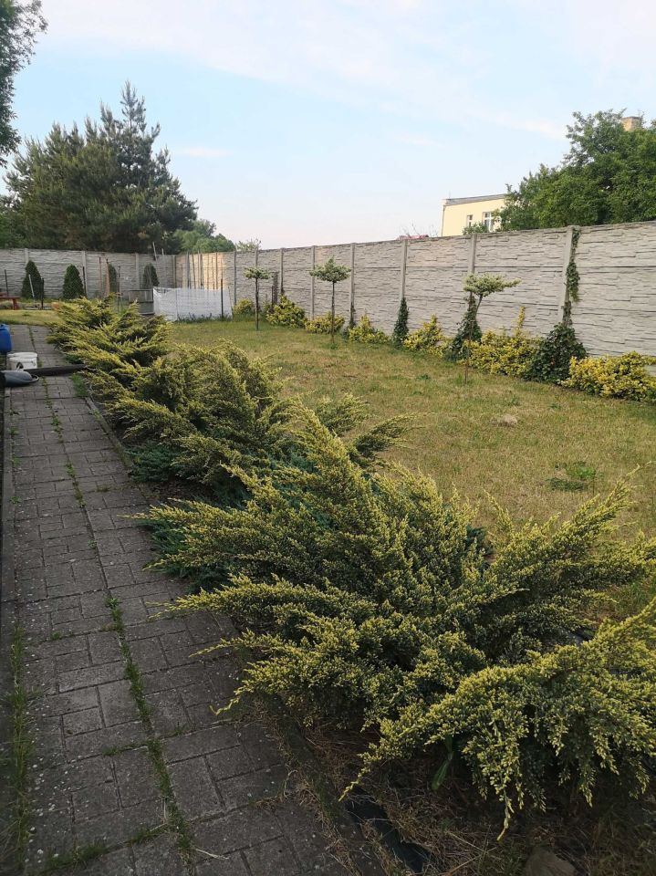 dom wolnostojący Pecna, ul. Główna. Zdjęcie 5