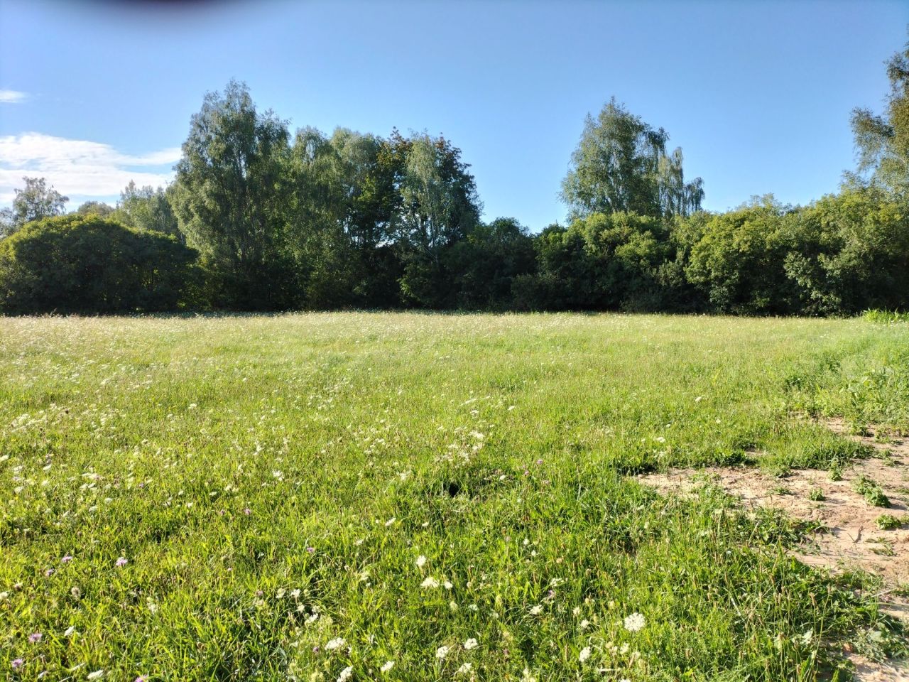 Działka budowlana Naprusewo. Zdjęcie 4