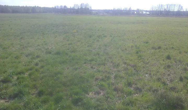 Działka rolna Biała Podlaska