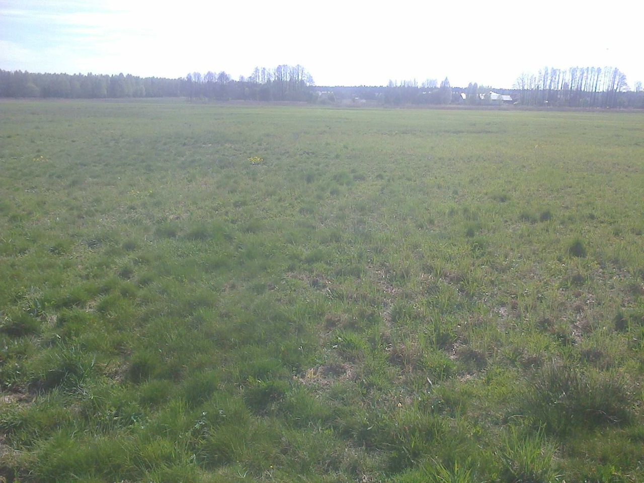 Działka rolna Biała Podlaska. Zdjęcie 1