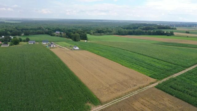 Działka budowlana Pniewo, ul. Szkolna. Zdjęcie 5