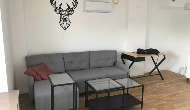 Mieszkanie 1-pokojowe Katowice Śródmieście