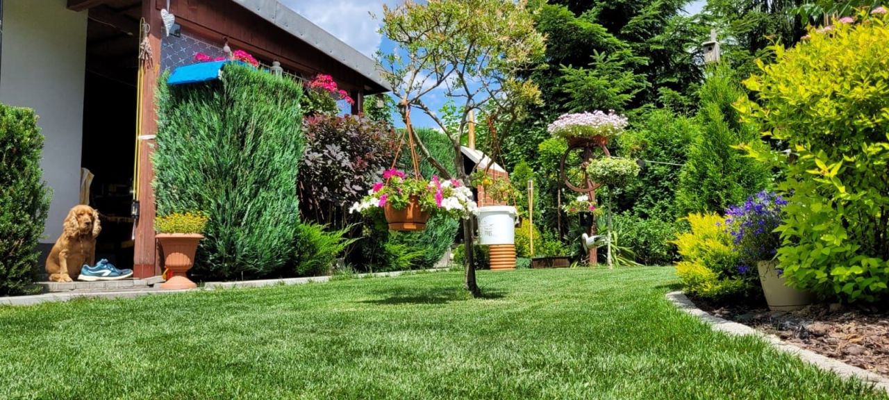 Działka rod Będzin Boleradz. Zdjęcie 7