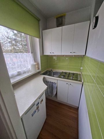 Mieszkanie 1-pokojowe Wieleń. Zdjęcie 1