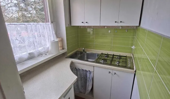 Mieszkanie 1-pokojowe Wieleń