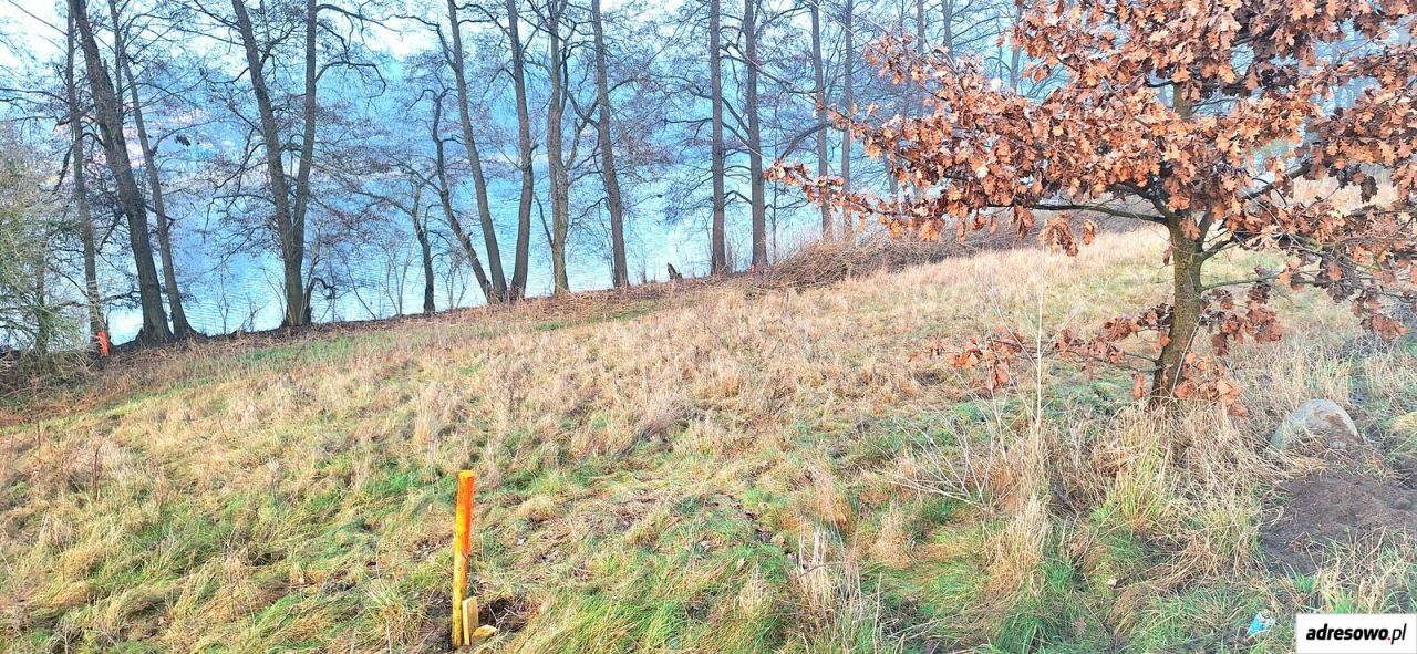 Działka rolna Margonin. Zdjęcie 11