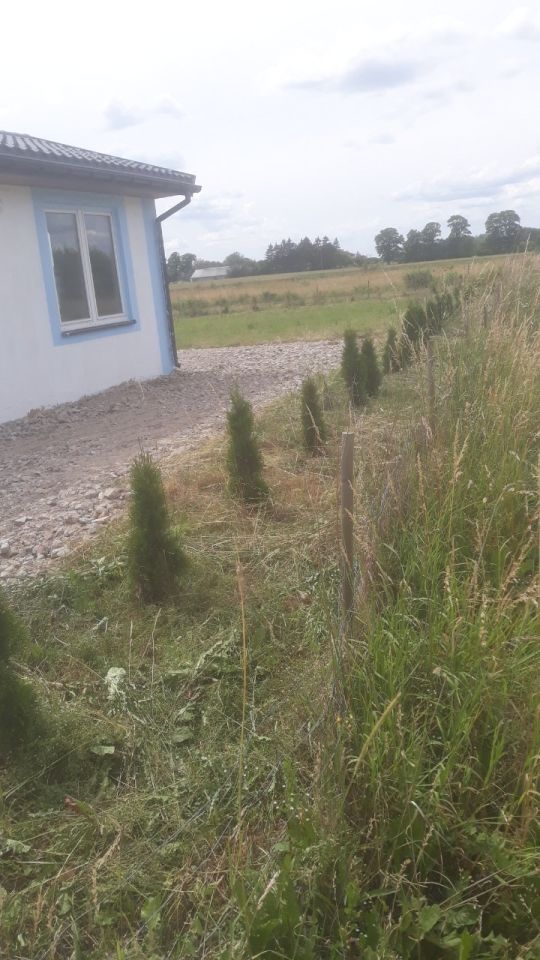 Działka budowlana Stare Gnatowice. Zdjęcie 2