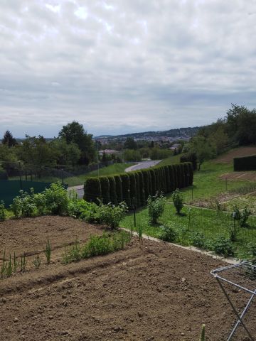 Działka rod Przemyśl, ul. Zadwórzańska. Zdjęcie 1