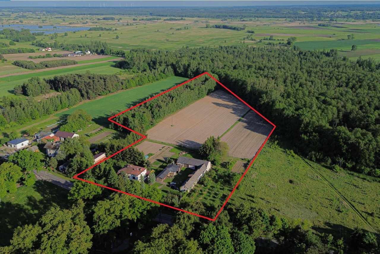 Działka siedliskowa Sobieszyn. Zdjęcie 6