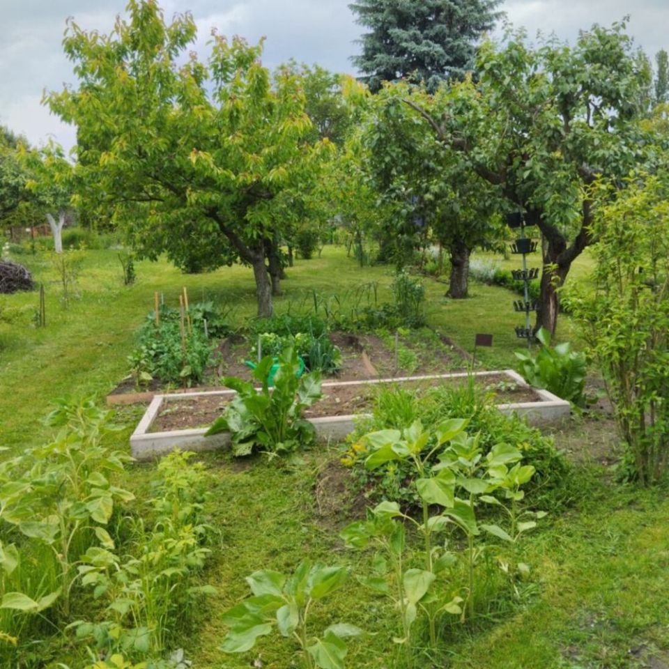 Działka rod Pleszew, ul. Wierzbowa. Zdjęcie 3