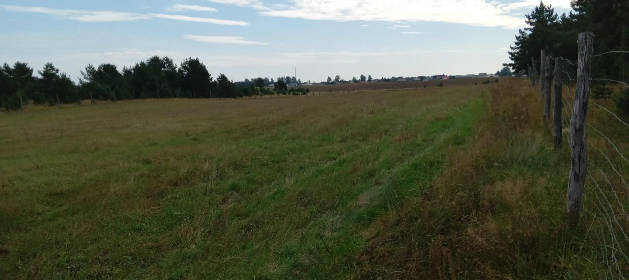 Działka budowlana Kaliska. Zdjęcie 2