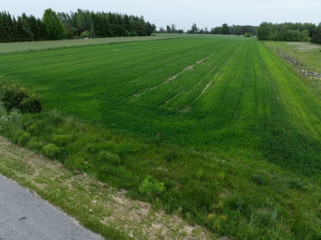 Działka budowlana Styrzyniec, ul. Słoneczna. Zdjęcie 4