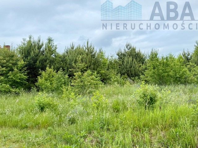 Działka budowlana Żychlin. Zdjęcie 13