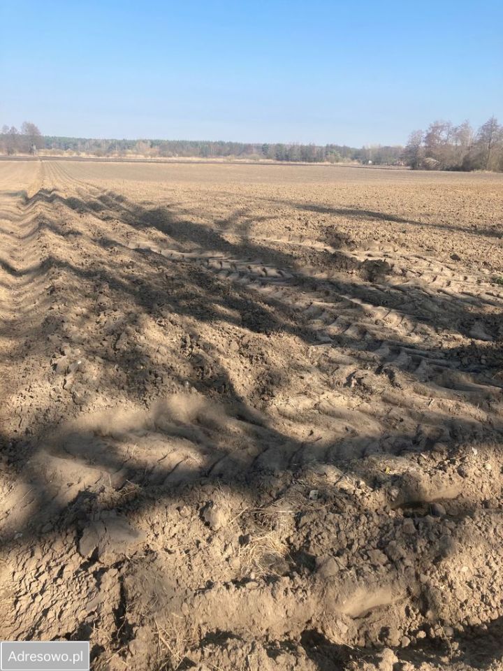 Działka rolna Sierosław, ul. Morwowa. Zdjęcie 2