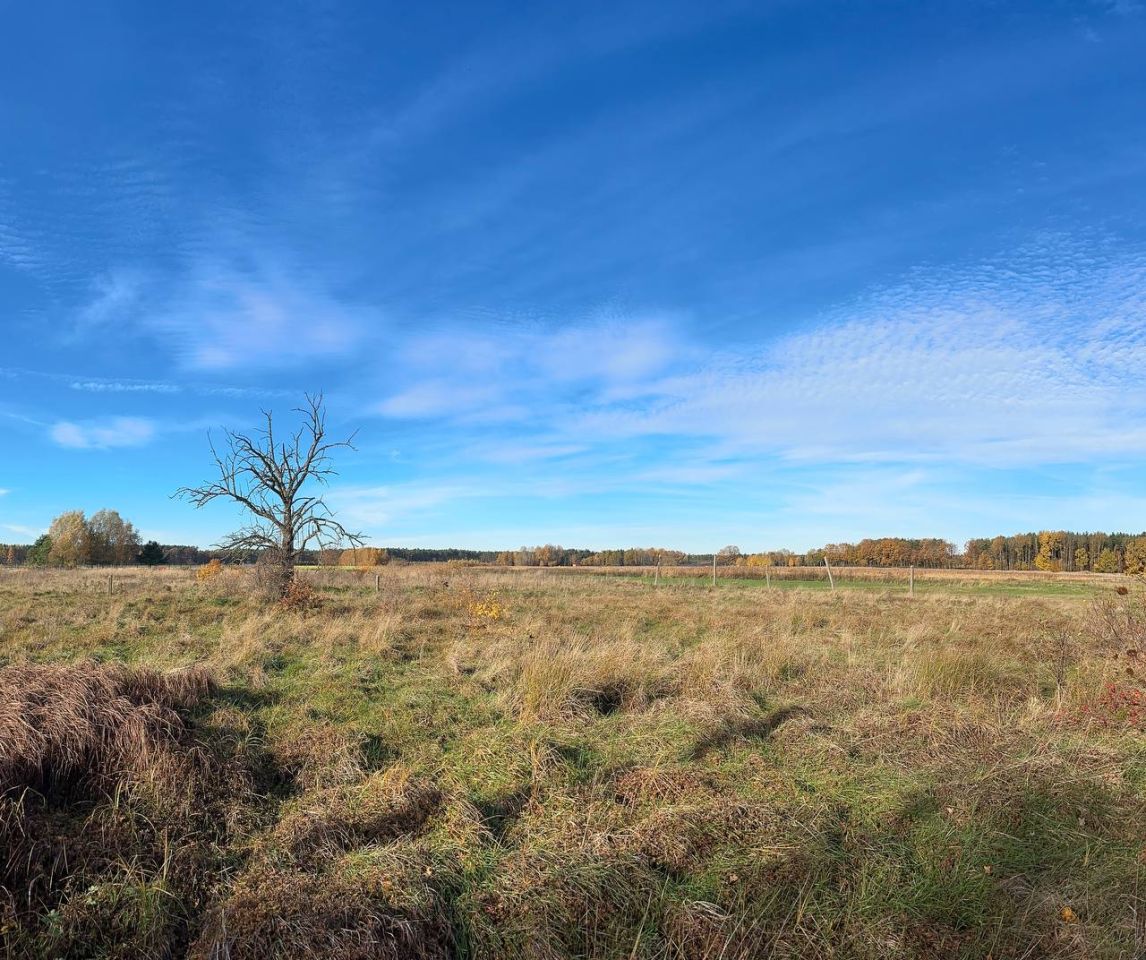 Działka budowlana Chudzowice. Zdjęcie 14