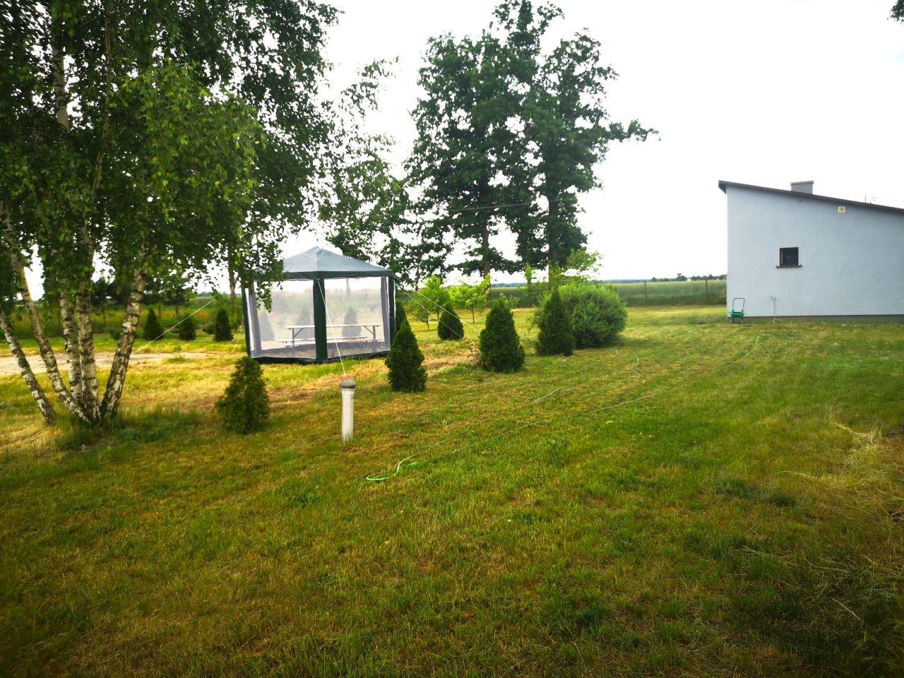 Działka siedliskowa Babiec-Wrzosy. Zdjęcie 8