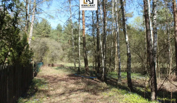 Działka budowlana Rynia