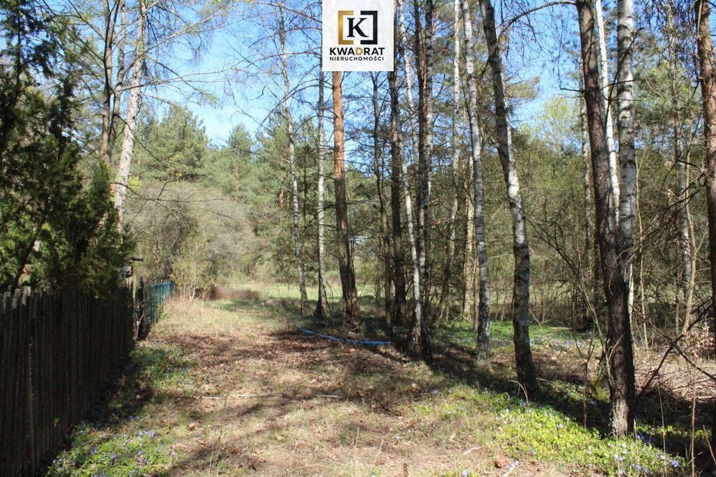 Działka budowlana Rynia. Zdjęcie 1