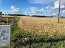 Działka rolna Łysomice, ul. Długa. Zdjęcie 2