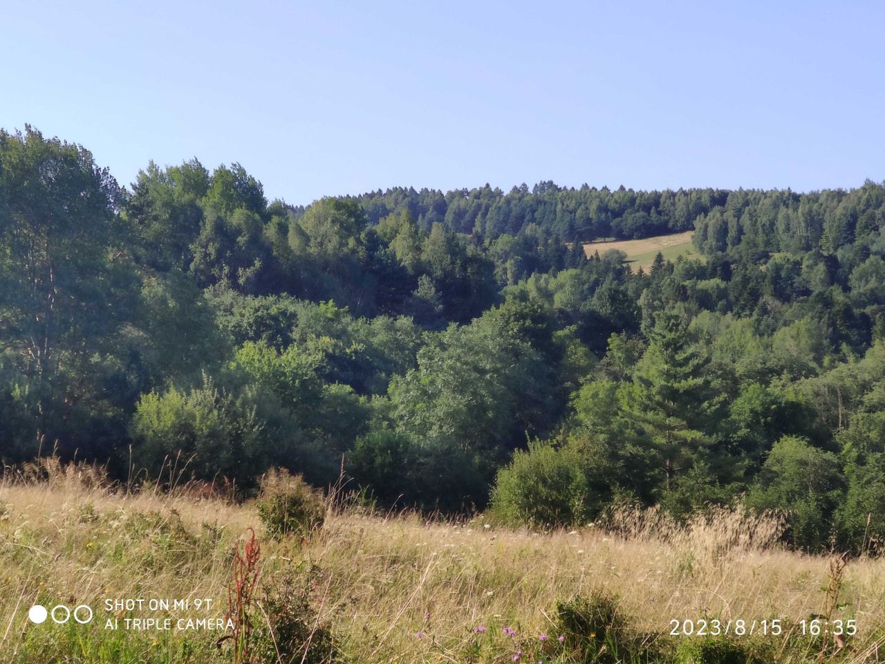 Działka inwestycyjna Łodyna. Zdjęcie 2