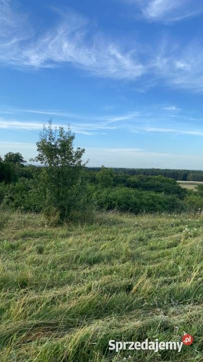 Działka rolna Strzemeszno. Zdjęcie 6