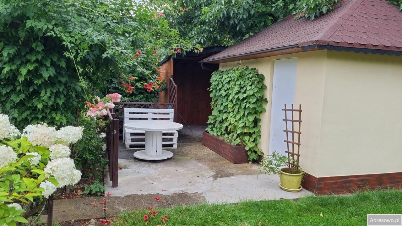 Działka rod Legnica, ul. Ogrodowa. Zdjęcie 11