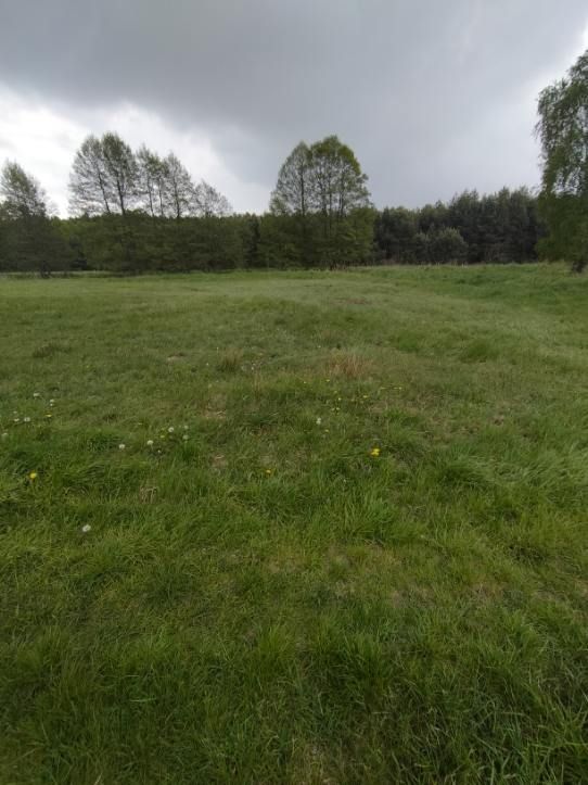 Działka rolno-budowlana Ciężkowiczki. Zdjęcie 4