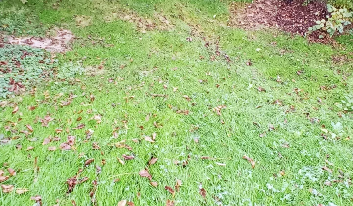 Działka budowlana Krzeszowice