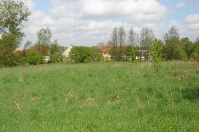 Działka budowlana Kryniczno. Zdjęcie 1