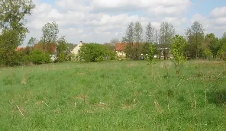 Działka budowlana Kryniczno