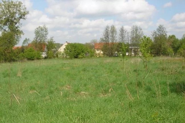 Działka budowlana Kryniczno. Zdjęcie 1