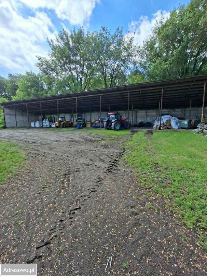 Działka inwestycyjna Kruszewnia. Zdjęcie 6