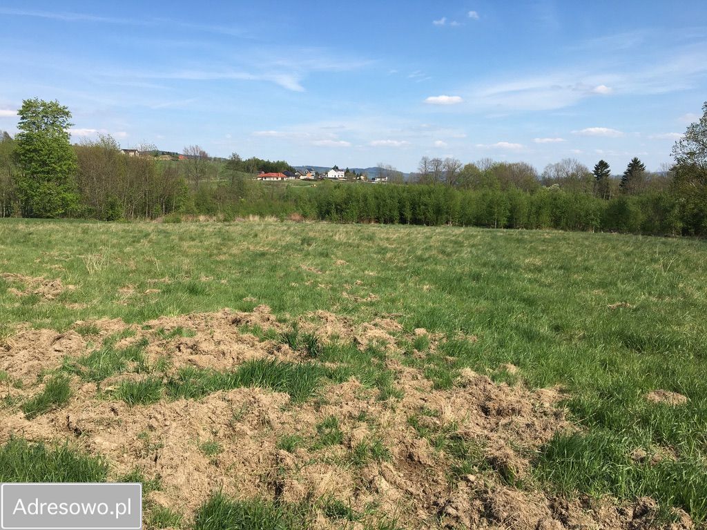 Działka rolna Dziwiszów