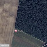 Działka budowlana Niemojewo. Zdjęcie 1