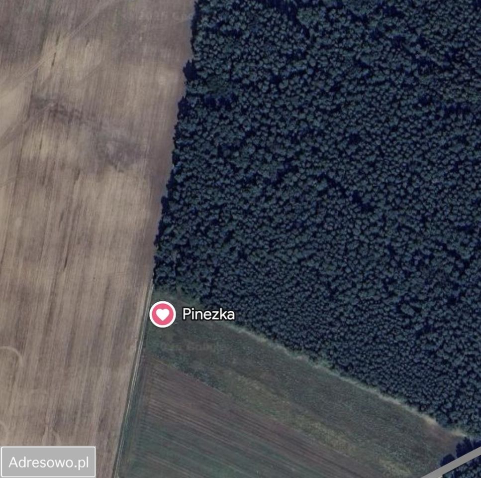 Działka budowlana Niemojewo. Zdjęcie 2